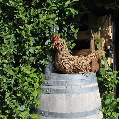 Maisonnette Hébergement de vacances